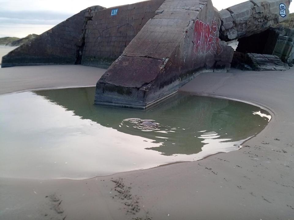 Joe Cocker Apartment Dunkirk ภายนอก รูปภาพ