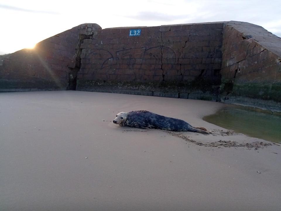 Joe Cocker Apartment Dunkirk ภายนอก รูปภาพ